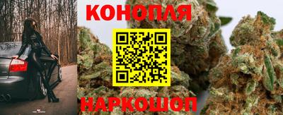 гидропоника Малгобек