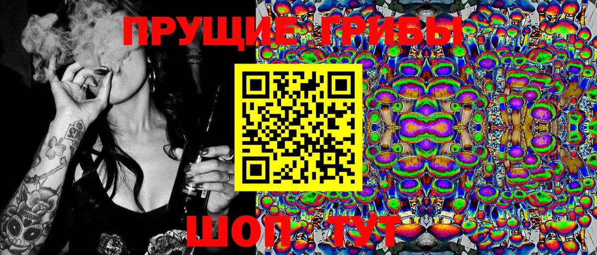 Галлюциногенные грибы Cubensis Выборг