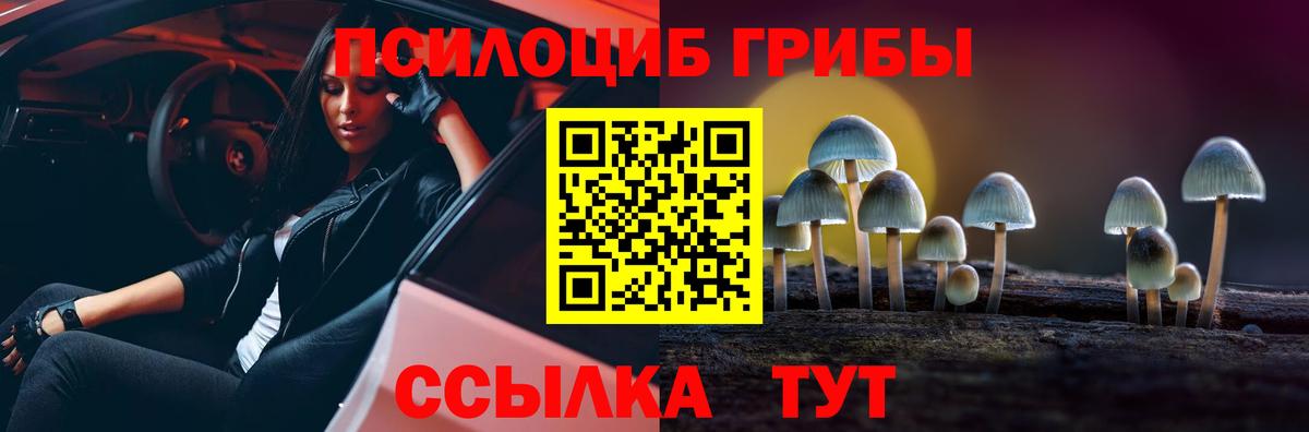 Псилоцибиновые грибы Magic Shrooms  Вход с VPN  Выборг 